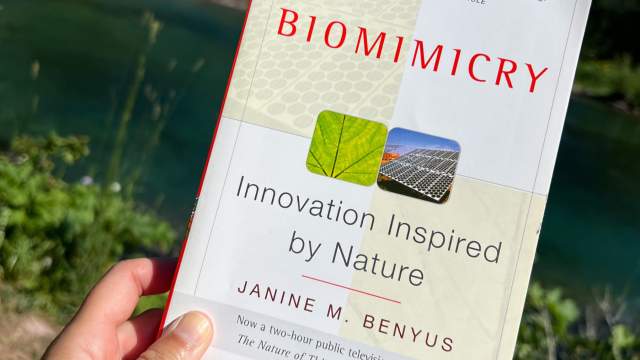 Biomimicry Innovation Inspired by Nature book