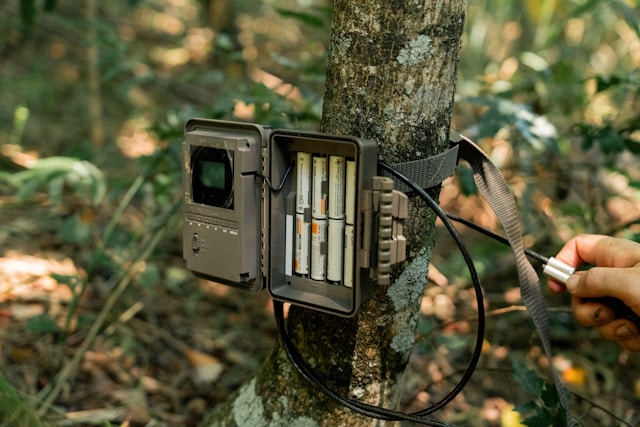 technology for wildlife protection