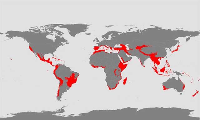 Biodiversity Hotspots