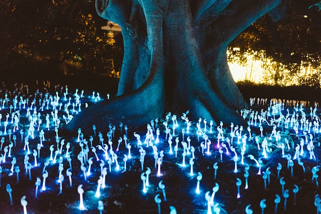 bioluminescent trees