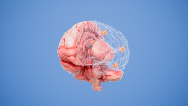 brain illustration