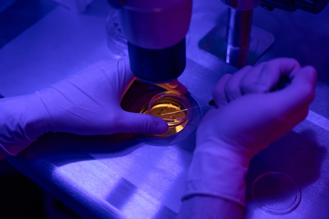 Researchers studying bioluminescent reactions in the lab