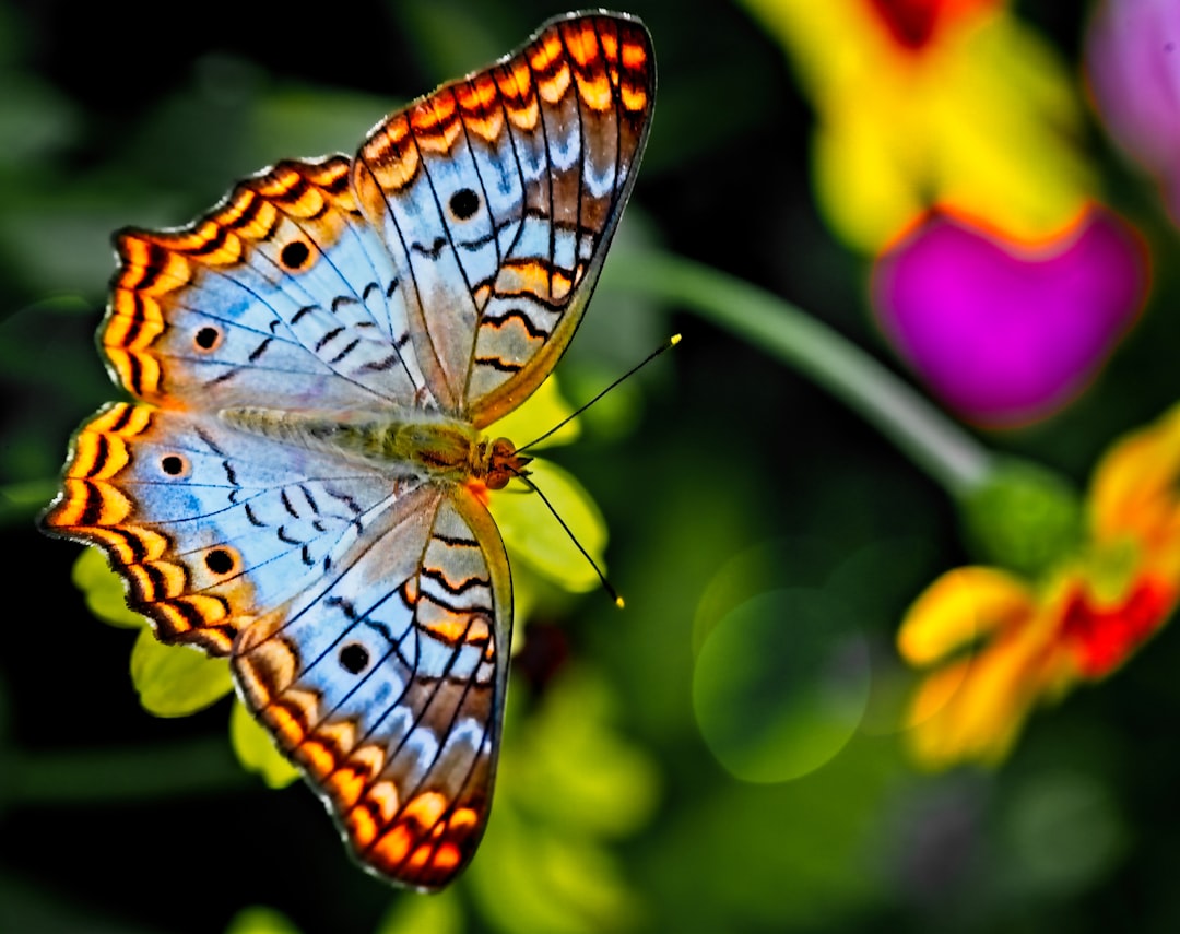 Creepy Crawlers or Climate Crusaders? How Insects are Pivotal to Combating Climate Change