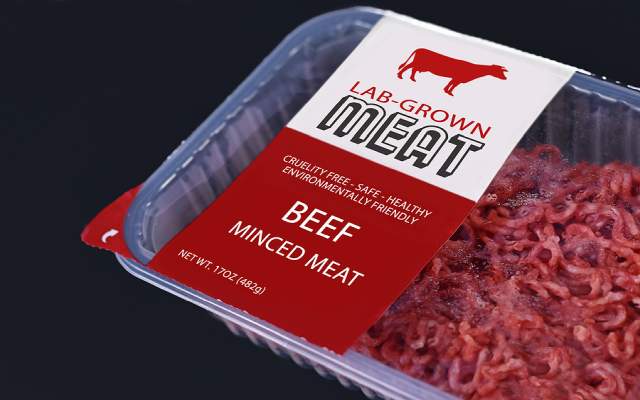 lab-grown meat products