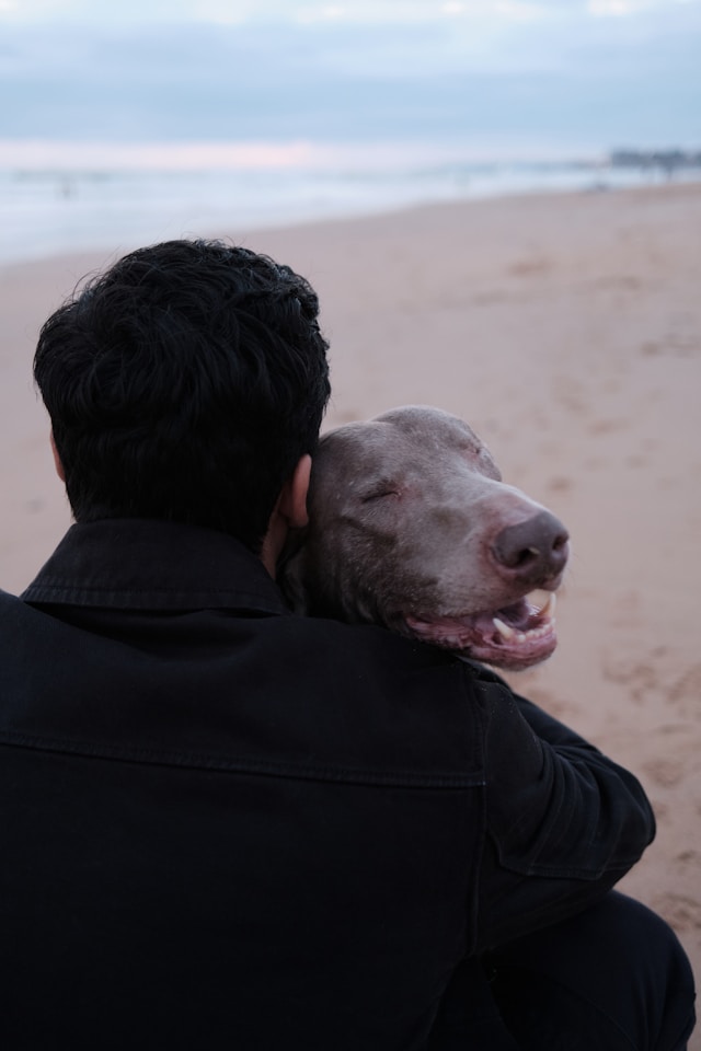 A dog comforting a human