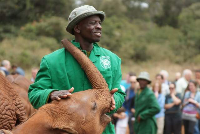 A wildlife conservationist