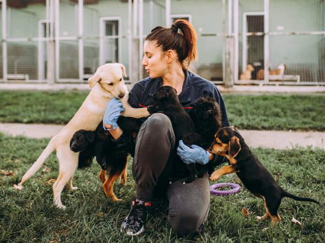 Adopter interacting with a playful dog at a shelter