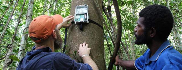 Bioacoustics Monitoring