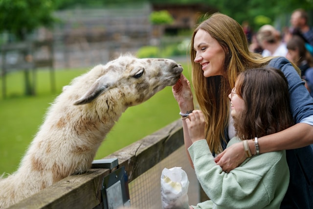 People interacting kindly with various animals