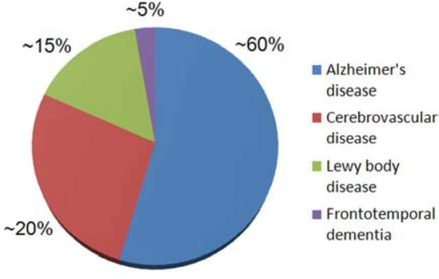 Statistics on neurodegenerative diseases prevalence