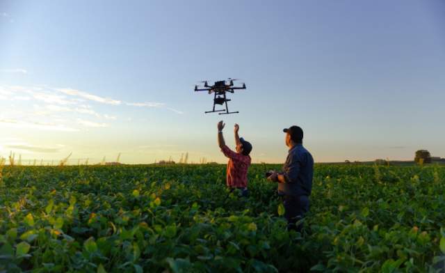 Technologies in habitat restoration such as drones and satellites