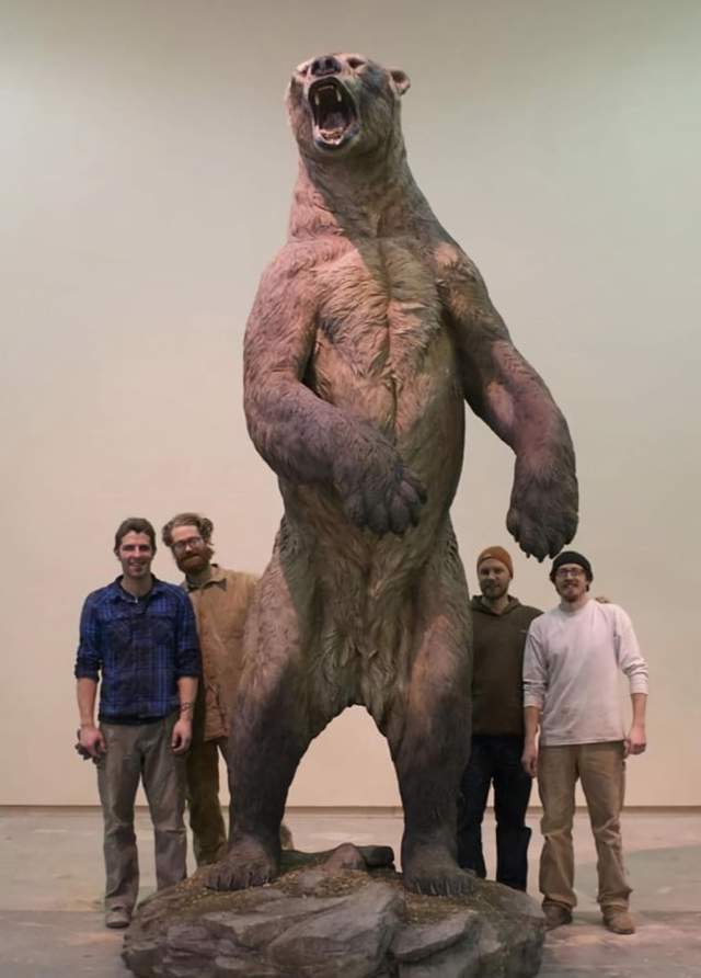 short-faced bear