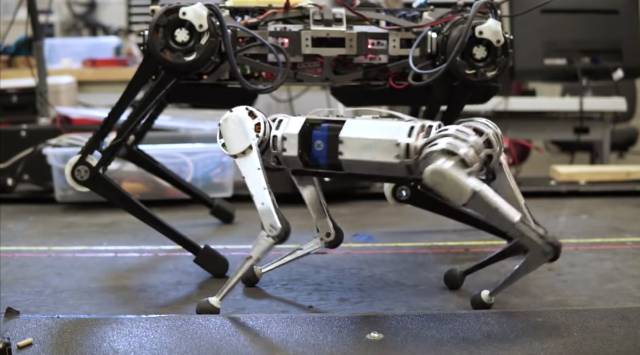 Bio-inspired cheetah robot