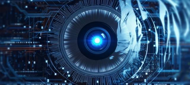 Challenges in AI Vision
