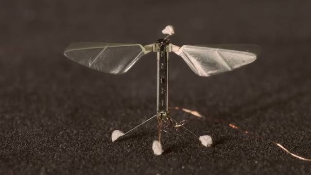 Swarm of RoboBees