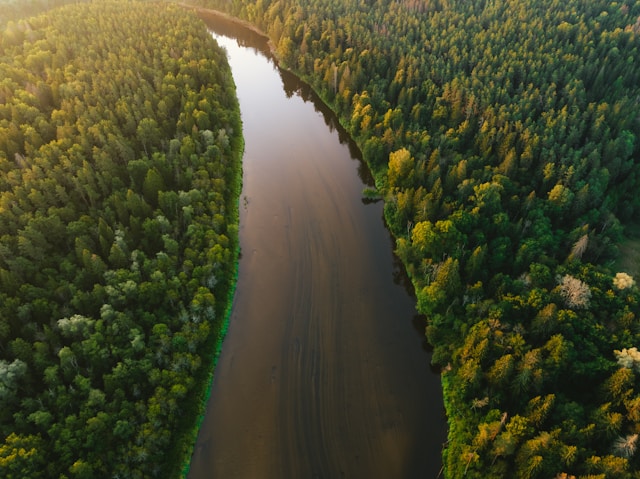 Polluted river flowing through a forested landscape depicting environmental challenges