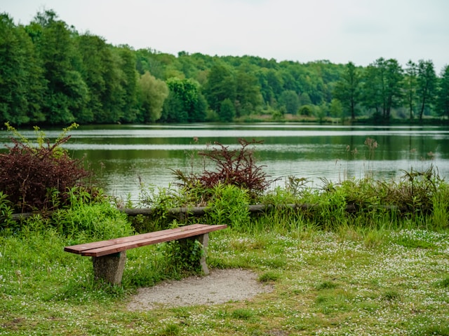 Calm and peaceful landscape representing long-term mindfulness benefits