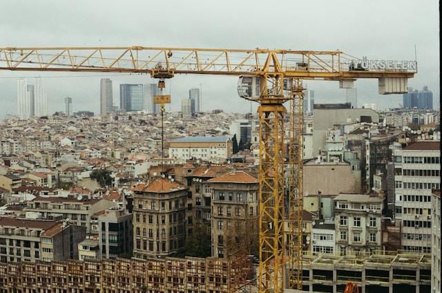 Construction and habitat loss in urban areas
