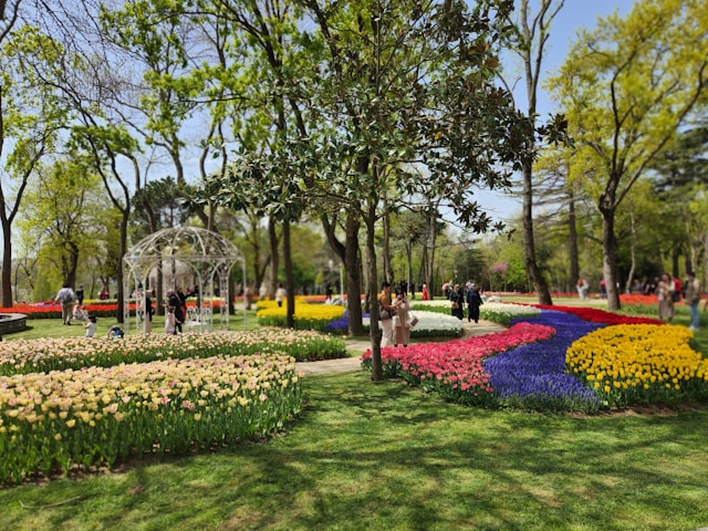 Diverse flora and fauna in a city park