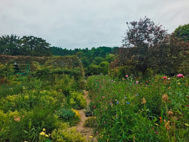 Farm with hedgerows providing habitat for native pollinators