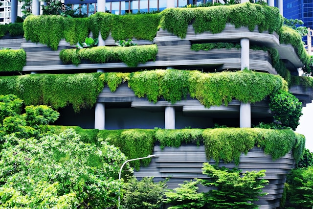 Green roof serving as habitat in an urban setting