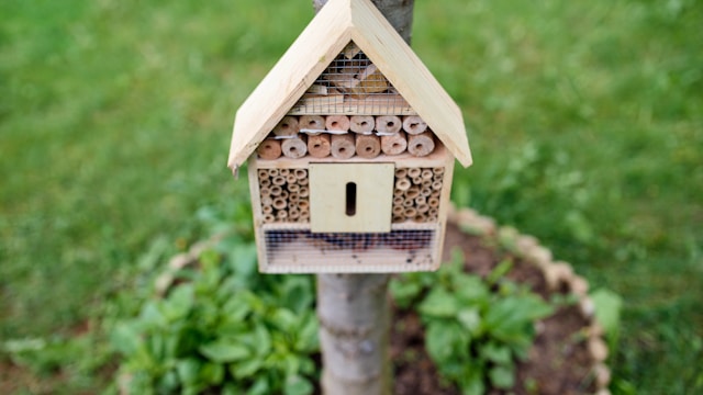 Homemade bee hotel with hollow stems for nesting