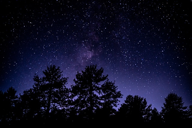 Starry night sky full of twinkling stars