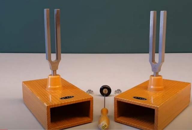Two tuning forks demonstrating vibration and frequency entrainment