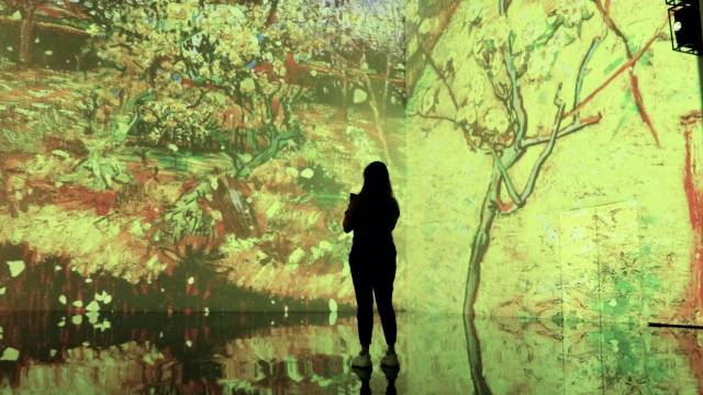 digital forest immersive art space