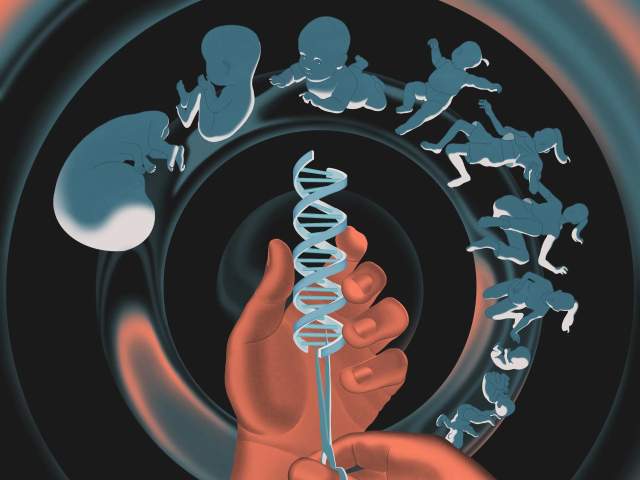 Conceptual image portraying human evolution and gene editing impact