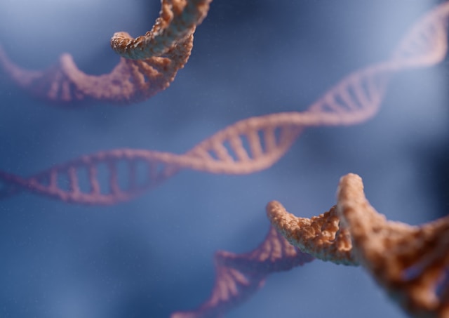 DNA double helix representing the human genome