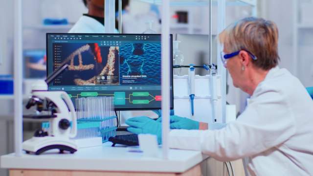 Scientists working in a computational biology lab with genome data
