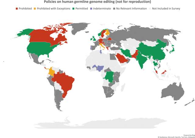 World map highlighting countries according to their stance on germline gene editing laws